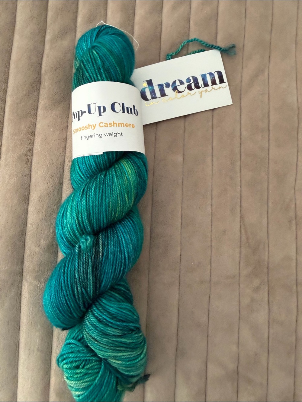 Dream in color Smooshy Cashmere Fingering Weight Yarn - Teal